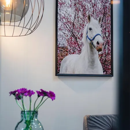 Volt Equestrian Modern&cozy *