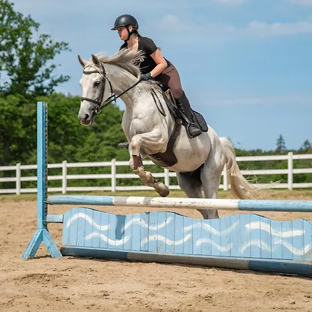 Volt Equestrian Modern&cozy *