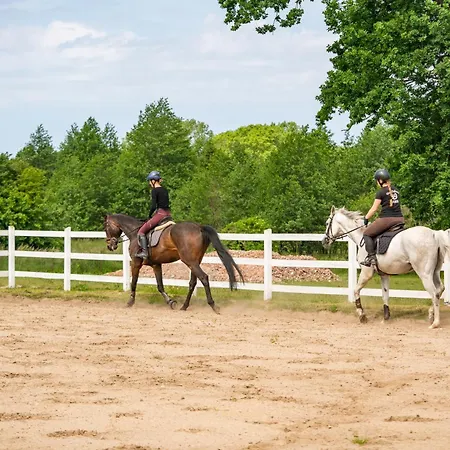 Volt Equestrian Modern&cozy *