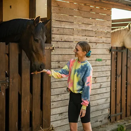 Volt Equestrian Modern&cozy